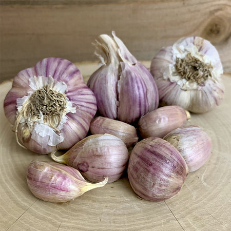 Organic Garlic (Soft-neck) Garden Variety Pack