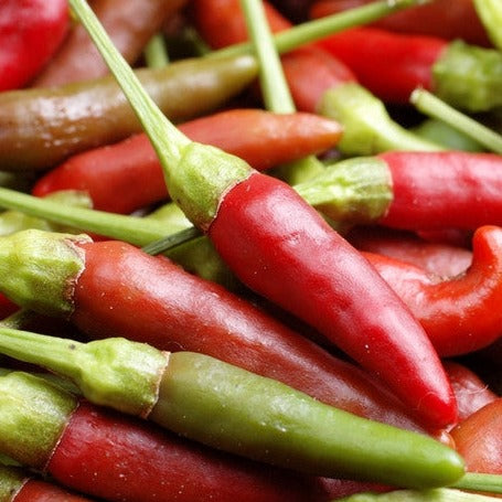 Pepper (Hot) - Bird's Eye ๐ฅ๐ฅ๐ฅ - SeedsNow.com