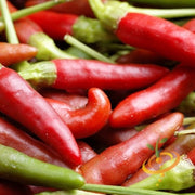 Pepper (Hot) - Bird's Eye ๐ฅ๐ฅ๐ฅ - SeedsNow.com