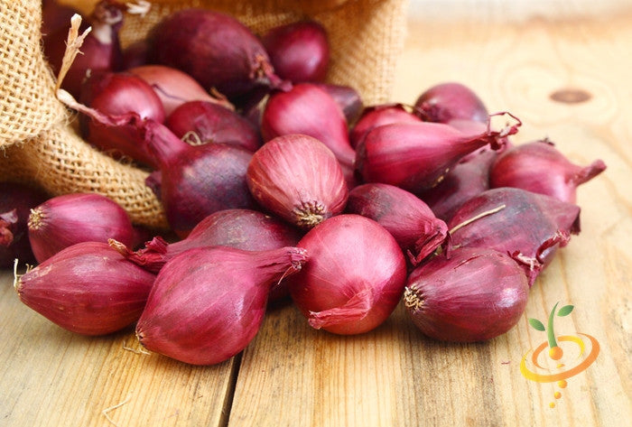 Red Burgundy onions spilling from a burlap sack on a wooden surface