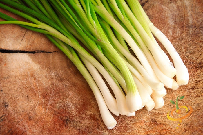 Fresh Tokyo Long White bunching onions on wooden surface