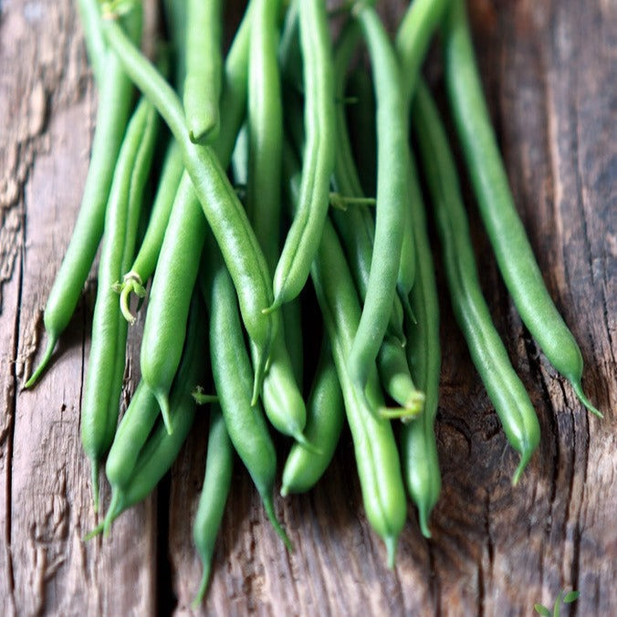 Kentucky Wonder Brown seeds pole beans fresh green pods on wooden surface