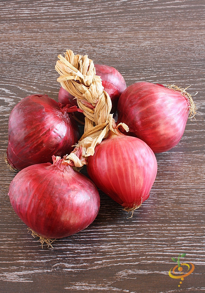Fresh Red Burgundy onions tied together on wooden surface