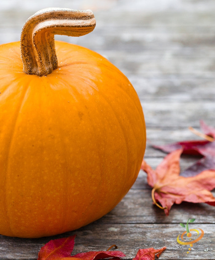 Small Sugar pumpkin on wooden surface with autumn leaves, bright orange smooth pumpkin with curved stem