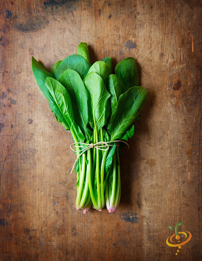 Fresh green Bloomsdale spinach leaves from SeedsNow, showcasing healthy, tender spinach for gardening or cooking.