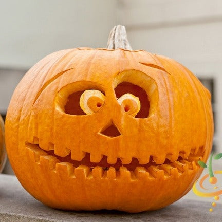 Buy Jack O' Lantern Pumpkin seeds online from the USA. Produces round to slightly oblong 10-pound pumpkins, ideal for carving, cooking, with strong stems! Buy seeds.