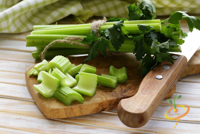 Tall Utah celery plant with lush green stalks, grown from SeedsNow celery seeds, ready for harvest.