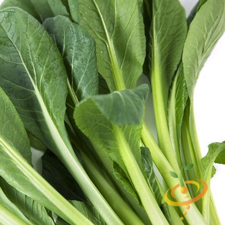 Order fresh Tendergreen Mustard Seeds for sale online from USA now. Perfect for home gardening, flavorful mustard greens in just 35 days, ideal for garnish & dishes.