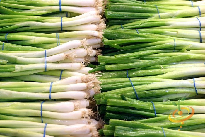 Buy Evergreen Bunching Scallion Onion (Allium cepa) seeds from USA now