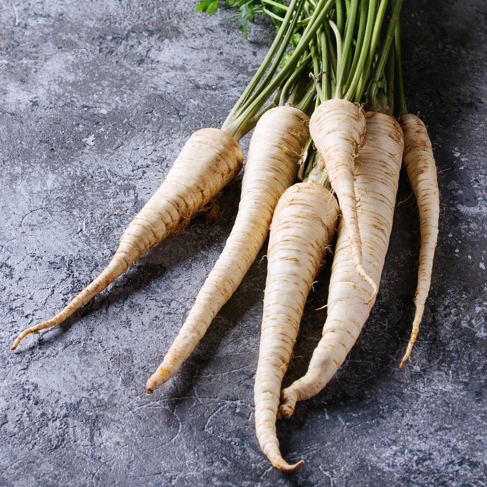 Hollow Crown parsnip seeds from SeedsNow, showing fresh parsnip roots and leafy green tops ready for planting.