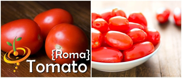 Roma tomato seeds with plum-shaped red tomatoes on wooden surface and in a white bowl