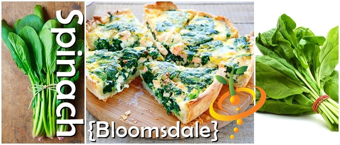 Fresh Bloomsdale spinach seeds from SeedsNow, featuring vibrant green spinach leaves and healthy seed packets.