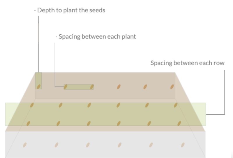Seed Planting & Spacing Guide (printable)