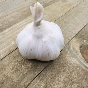 Garlic - (Soft Neck) Silver Rose
