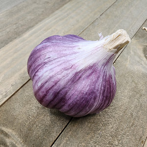 Garlic - (Hard Neck) Chesnok Red