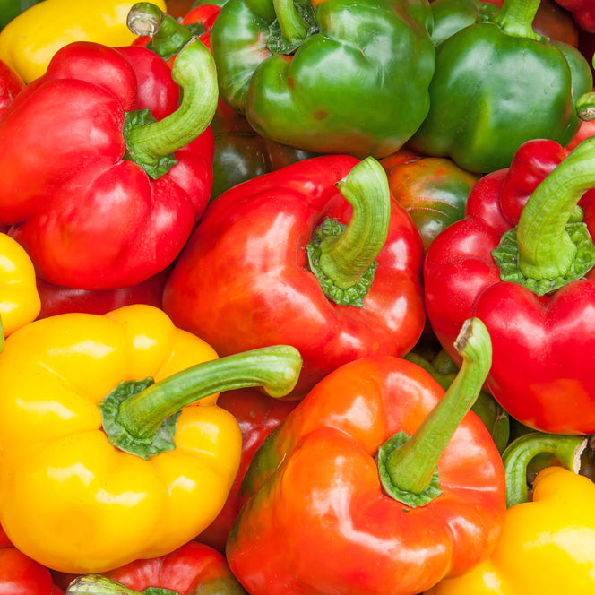 *FREE* California Wonder Bell Pepper Seed Kit
