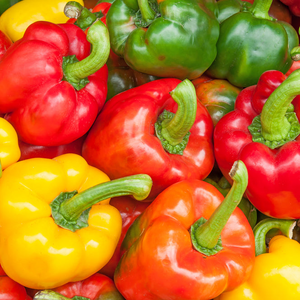 *FREE* California Wonder Bell Pepper Seed Kit