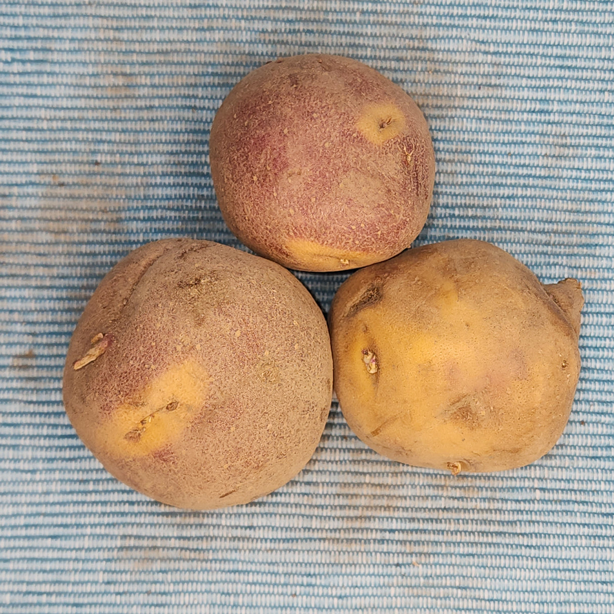 Potato (Early-Season) - Cheshire (Organic rounds)