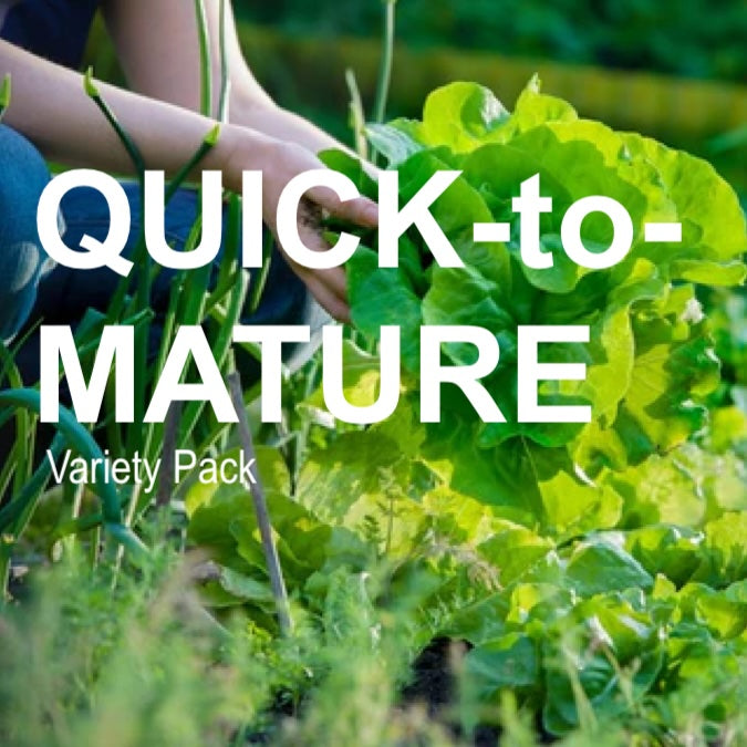 All-in-One Quick-to-Mature (45 days or less!) Garden Variety Pack