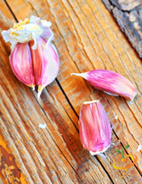 Garlic - (Soft Neck) Early Purple Italian (Organic) *PRE-ORDER* - SeedsNow.com
