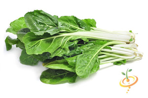 Swiss Chard - Classic "Fordhook" Giant.