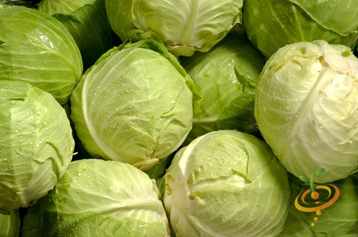 Cabbage - Copenhagen.