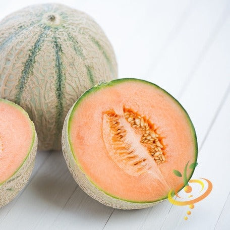 Melon (Cantaloupe) - Hales Best Jumbo - SeedsNow.com