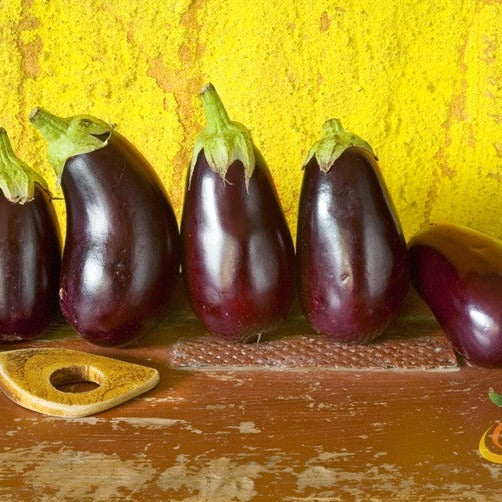 Eggplant - Blackbeauty - SeedsNow.com