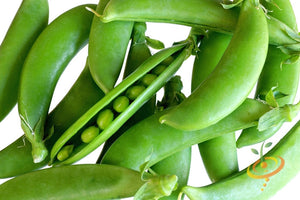 Pea - Cascadia Sugar Snap.