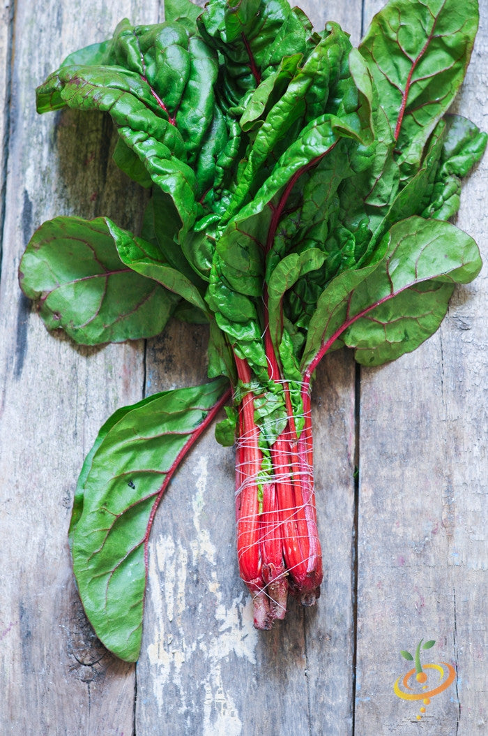 Swiss Chard - Hot Pink.