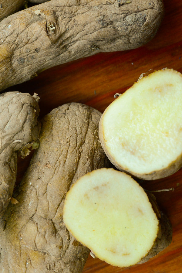Organic Austrian Crescent fingerling potato seed from SeedsNow-Potatoes, showing fresh, seed-ready heirloom potato tubers.
