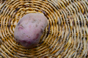 Potato (Mid-Season) - Dark Red Norland (ORGANIC) - SeedsNow.com