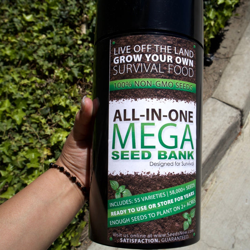 ALL-in-ONE MEGA Seed Bank - SeedsNow.com