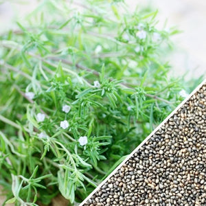 Summer Savory.
