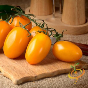 Cluster of ripe Yellow Pear Tomatoes on a wooden cutting board