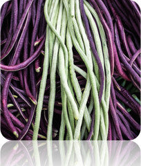 Bean, Pole - Asparagus Yard-Long - SeedsNow.com