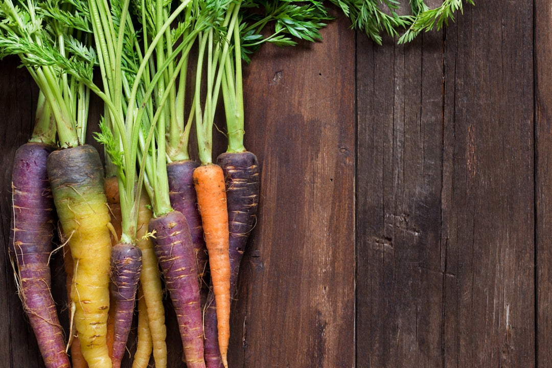 Carrot - Heritage Rainbow Blend - SeedsNow.com