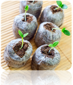 Seed Starting Soil Pellets